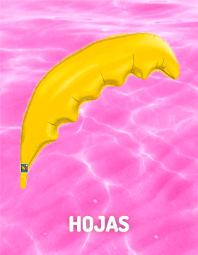 Hojas